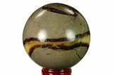 Polished Septarian Sphere with Ammonite - Madagascar #154135-1